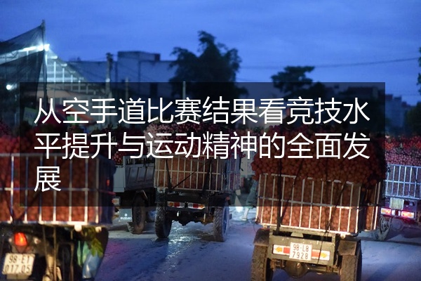 从空手道比赛结果看竞技水平提升与运动精神的全面发展